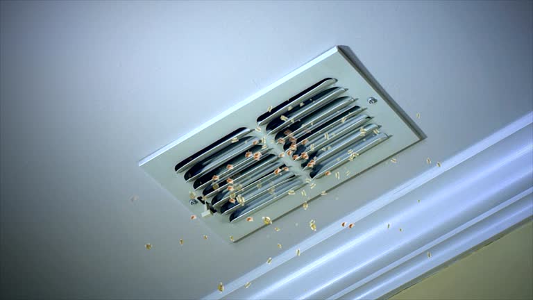Best Air Vent Cleaning Services  in Mokena, IL